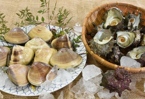 【日時指定必須】いずみや鮮魚店の活きサザエ・蛤(はまぐり) 貝づくしセット [0030-0052]