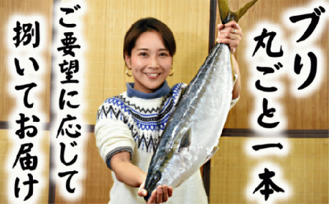 【日時指定必須】ブリ丸ごと一本！(さばき方が選べます) [0050-0049]