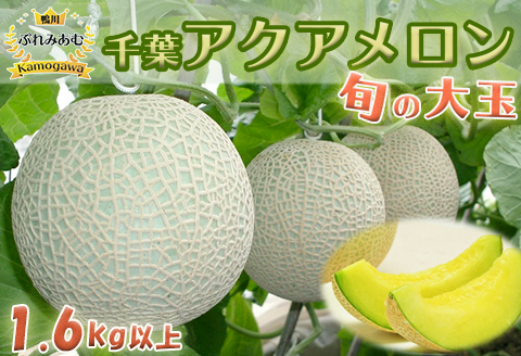 【令和8年5月発送／先行予約】鴨川ぷれみあむ『千葉アクアメロン』旬の大玉 １個　[0010-0213] 旬の大玉 １個
