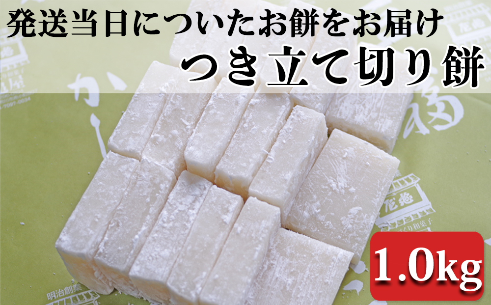 【日時指定必須】つきたて「切り餅」（1.0kg）[0007-0049] 切り餅 1.0kg