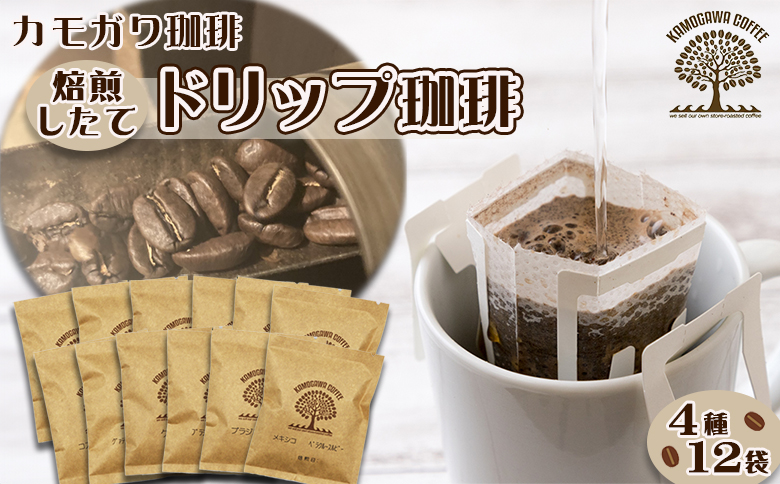 【カモガワ珈琲】焙煎したてのドリップバッグ ４種１２袋　[0010-0232] ４種12袋