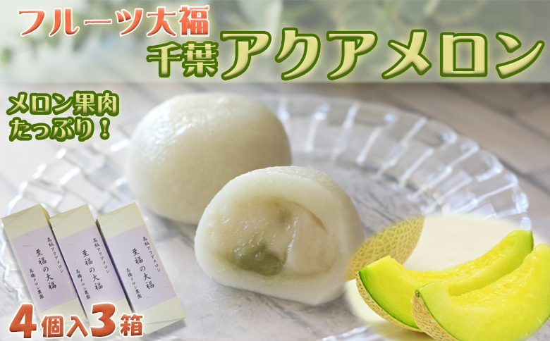 【高橋メロン農園】フルーツ大福～千葉アクアメロン～ 12個 [0010-0243]
