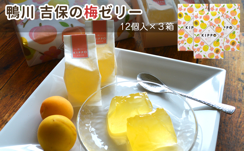 【鴨川吉保梅の里の南高梅】吉保の梅ゼリー 12個入り×３箱 [0010-0297] 12個入×３箱