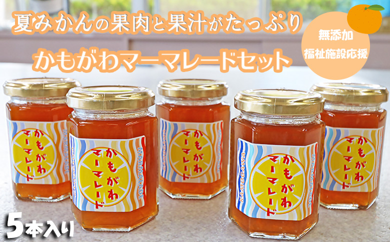 【福祉施設応援】夏みかんマーマレード５個セット [0010-0308] マーマレード５個