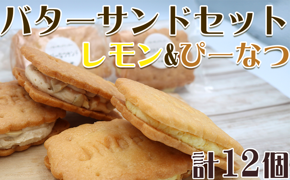 【中島屋菓子店】バターサンドセット　レモン&ぴーなつ 計12個 [0010-0347] 12個