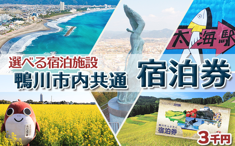 【千葉県鴨川市】市内宿泊施設『共通宿泊券』３千円相当　[0010-0352] ３千円相当