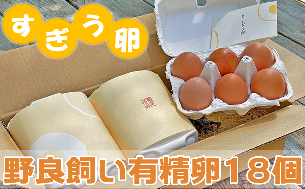 すぎう卵の野良飼い有精卵18個 [0011-0049]