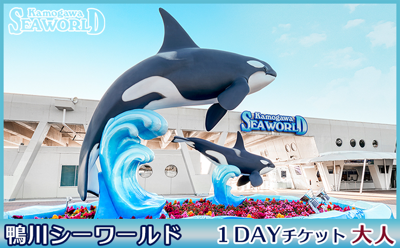 【鴨川シーワールド】１Dayチケット 大人（高校生以上）１枚　[0012-0060] 大人１枚