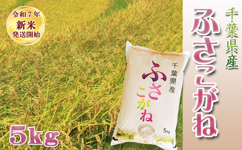 《令和７年産 新米》【米屋新蔵】お米ソムリエ特選 千葉県産『ふさこがね』５kg　[0013-0049] ５kg