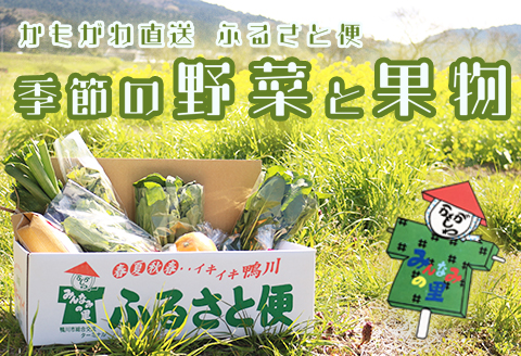 【鴨川直送ふるさと便】季節の野菜＆果物詰合せ [0015-0043]