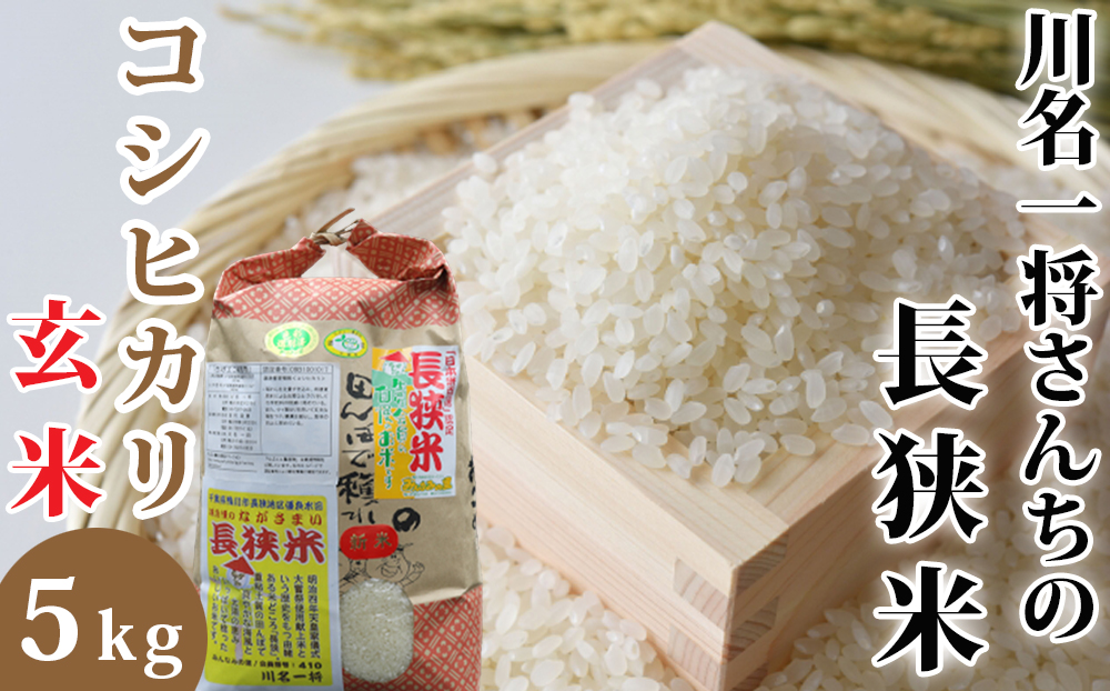 【令和7年産】川名一将さんちの長狭米　コシヒカリ5kg【玄米】 [0015-0066] 玄米５kg
