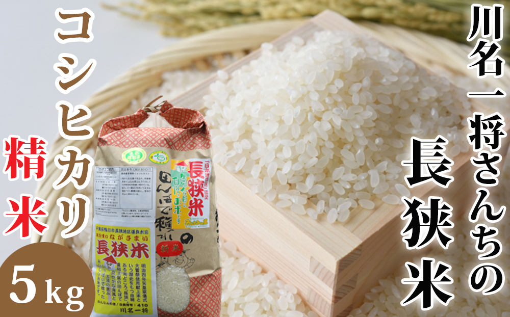 【令和7年産】川名一将さんちの長狭米　コシヒカリ5kg【精米】 [0015-0066] 精米５kg