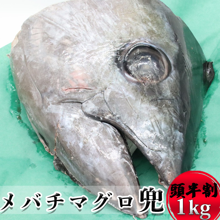 メバチマグロ兜 頭半割1個分（1kg） 1/2カット×1個 [0015-0069] 1/2カット１個