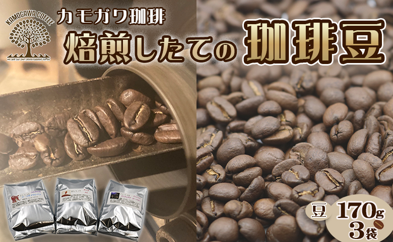 【カモガワ珈琲】焙煎したてのコーヒー豆 ３種（170g×３袋）《豆》　[0016-0022] ３種（豆）