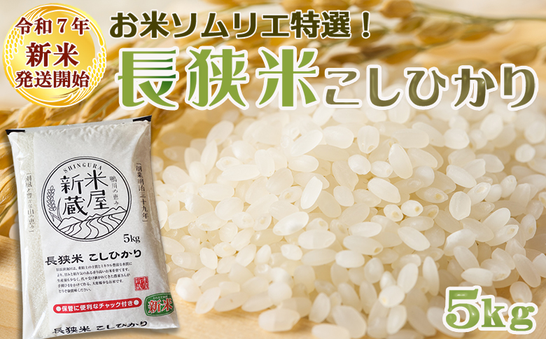 《令和７年産 新米》【米屋新蔵】お米ソムリエ特選『長狭米コシヒカリ』５kg　[0016-0028] ５kg