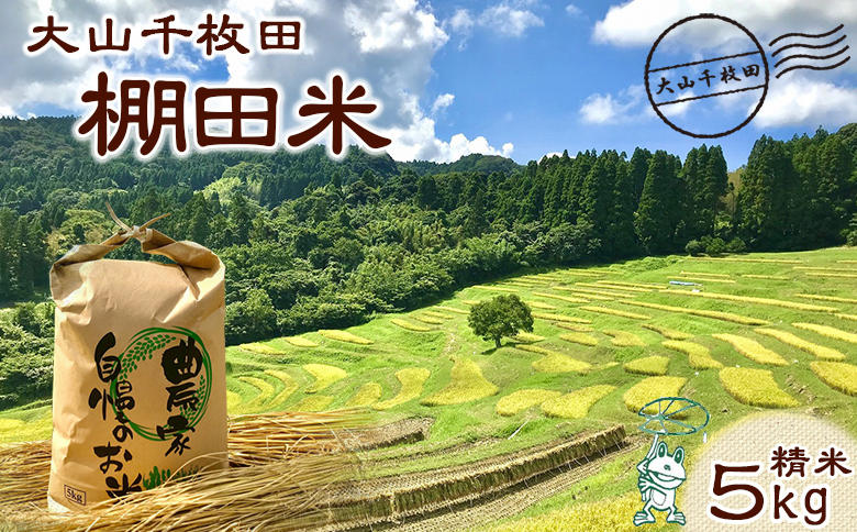 【棚田保全支援】大山千枚田の天水田育ち『棚田米』５kg《精米》　[0017-0026] 5kg