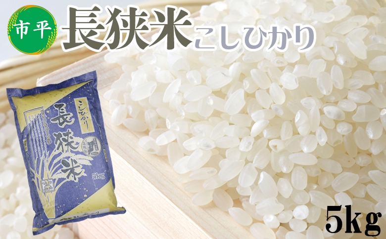【市平】長狭米 コシヒカリ ５㎏ [0019-0007]