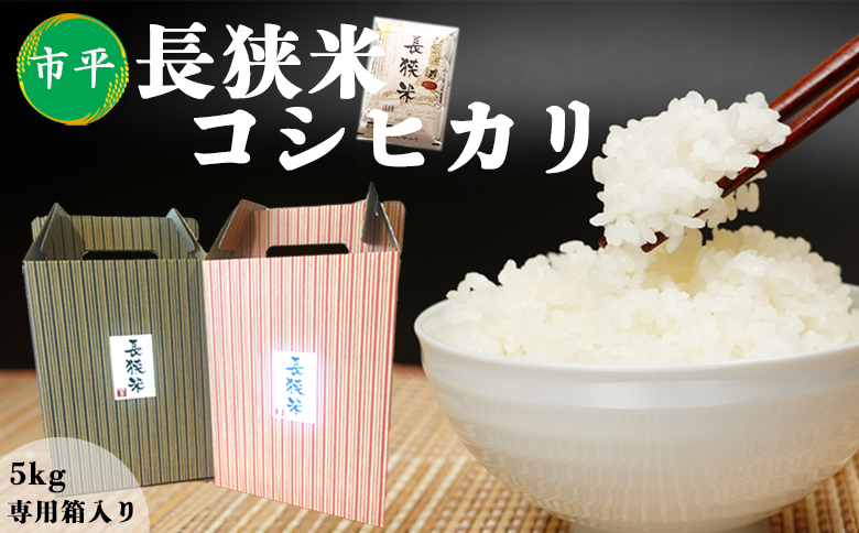 【市平】ボックス入り長狭米コシヒカリ５㎏ [0019-0008]