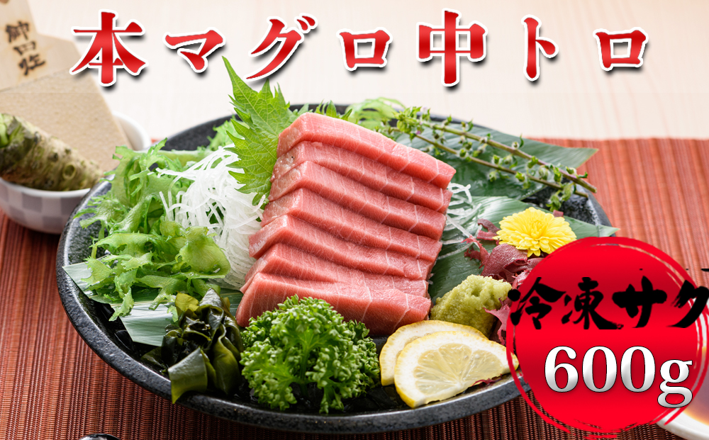 【プロが厳選！】本マグロ 中トロ 600g(冷凍・サク) [0022-0013]