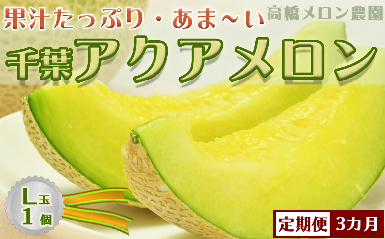 【定期便】高橋メロン農園『千葉アクアメロン』L玉以上 1個 × 3回発送 [0030-0061] Ｌ玉１個×３回