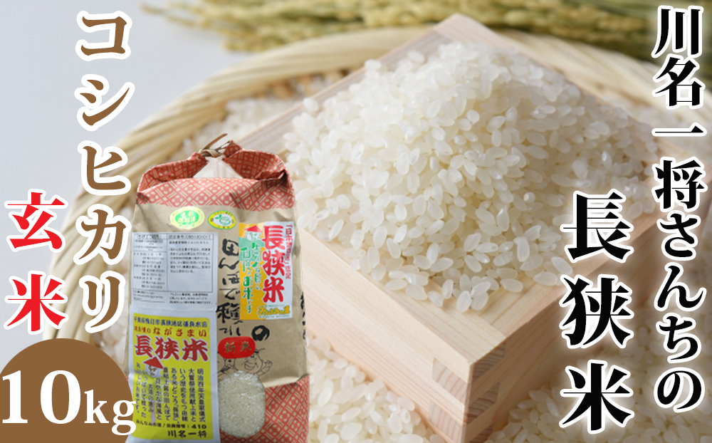 【令和7年産】川名一将さんちの長狭米　コシヒカリ10kg【玄米】 [0030-0133] 玄米10kg
