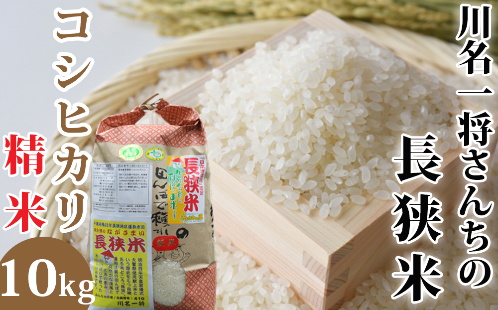 【令和7年産】川名一将さんちの長狭米　コシヒカリ10kg【精米】 [0030-0133] 精米10kg