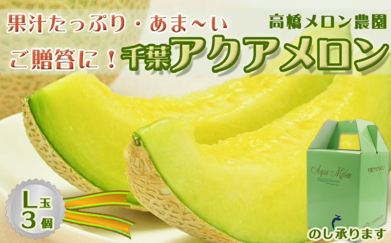 【ご贈答に！】高級マスクメロン『千葉アクアメロン』Ｌ玉以上 × ３個　[0033-0011] Ｌ玉３個