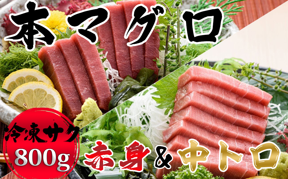 【プロが厳選！】本マグロ 赤身400g&中トロ400g [0033-0012]