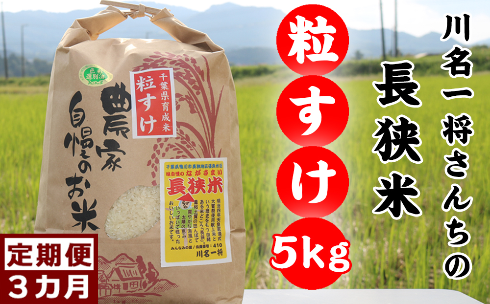 【定期便】川名一将さんちの長狭米　長狭米『粒すけ』5kg×3回 [0042-0005] 3回