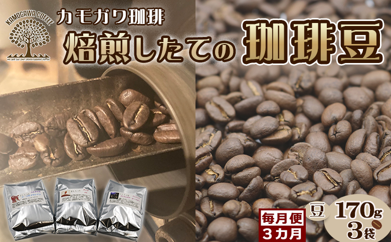 【カモガワ珈琲の定期便】焙煎したてのコーヒー豆 ３種（170g×３袋）３カ月《豆・毎月発送》　[0048-0002] ３種（豆）×毎月３回