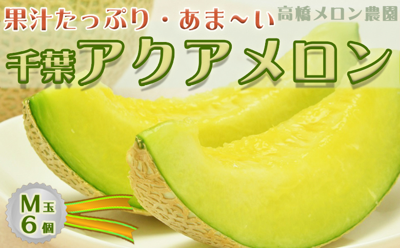【高橋メロン農園】千葉アクアメロン M玉以上 × 6個 [0050-0051] Ｍ玉６個