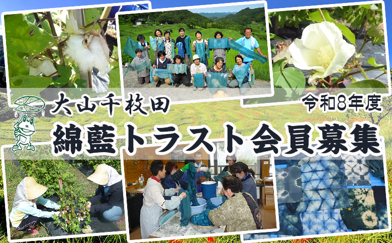 【先着10組限定】令和８年度 大山千枚田『綿藍(わたあい)トラスト制度』参加権利　[0050-0070] 綿藍トラスト