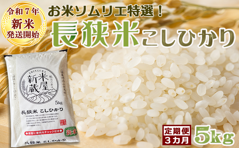 《令和７年産 新米》【米屋新蔵の定期便】お米ソムリエ特選『長狭米コシヒカリ』５kg×３回 [0050-0102] ５kg×３回