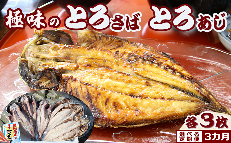 【極味のひもの】脂の乗った『とろさば・とろあじ』干物 各３枚 選べる定期便３カ月《隔月》　[0050-0103] 隔月３回