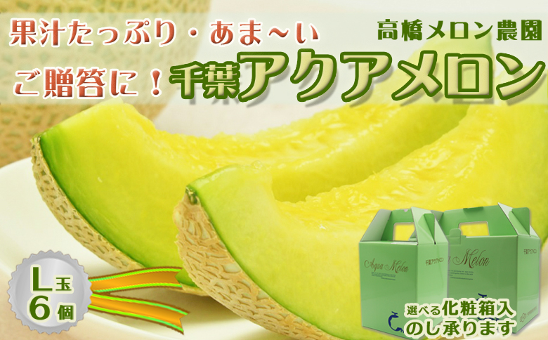 【ご贈答に！】高級マスクメロン『千葉アクアメロン』Ｌ玉以上 × ６個　[0066-0005] Ｌ玉６個（２個入３箱）