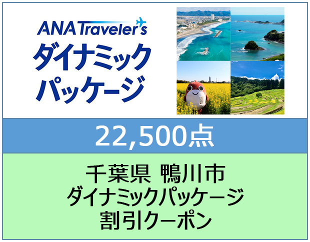 千葉県 鴨川市 ANAトラベラーズダイナミックパッケージ割引クーポン 22,500点分 22,500点