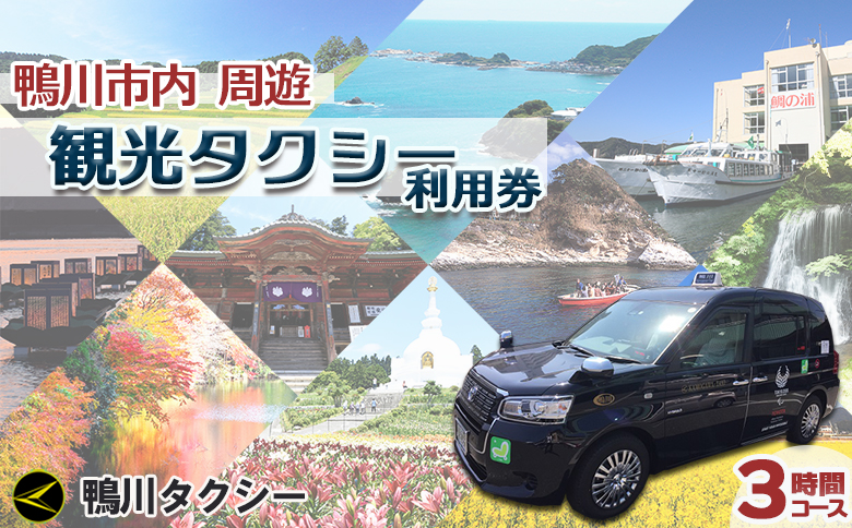 【千葉県鴨川市】観光タクシー貸切利用券 ３時間（定員４名／１台）　[0078-0002] ３時間券