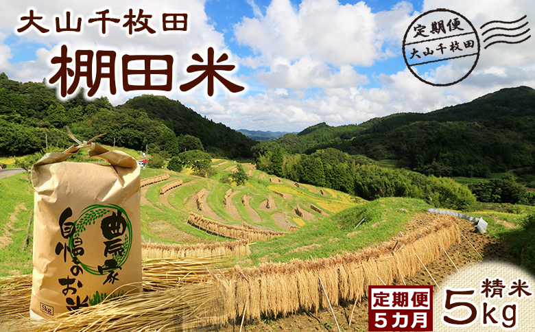 【棚田保全支援】大山千枚田の天水田育ち『棚田米』定期便 ５kg×５カ月《精米》　[0084-0003] 5kg×5カ月