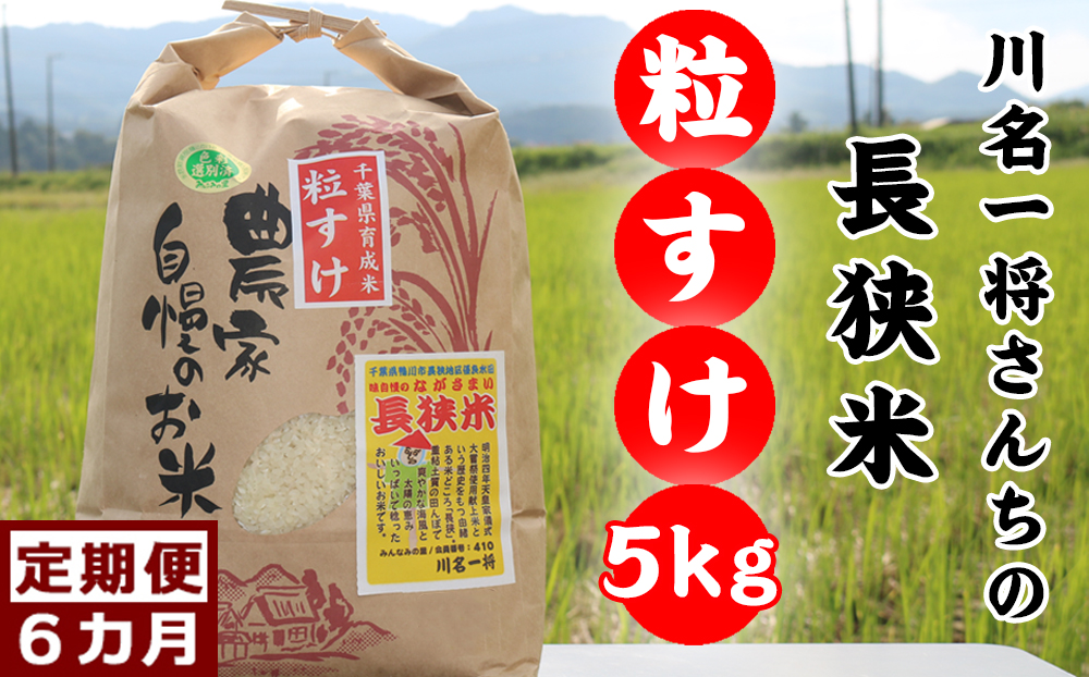 【定期便】川名一将さんちの長狭米　長狭米『粒すけ』5kg×6回 [0084-0004] 6回