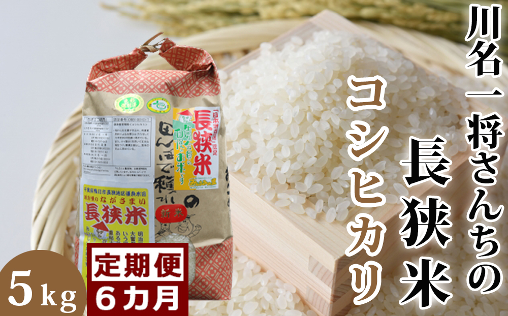 【定期便】川名一将さんちの長狭米 コシヒカリ5kg×6回 [0090-0009] 6回