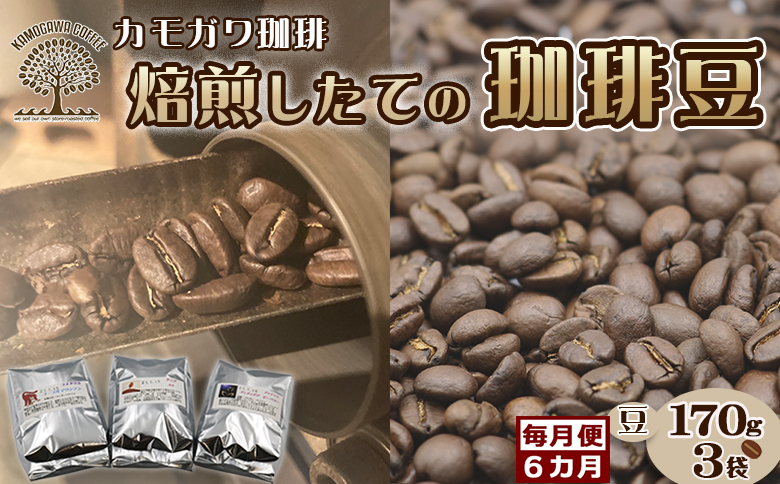 【カモガワ珈琲の定期便】焙煎したてのコーヒー豆 ３種（170g×３袋）６カ月《豆・毎月発送》　[0096-0001] ３種（豆）×毎月６回