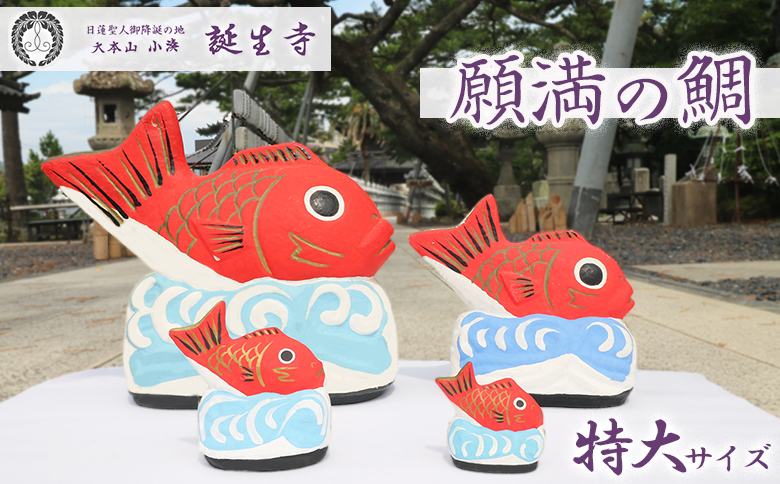【大本山 小湊 誕生寺】日蓮聖人ゆかりの縁起物『願満の鯛』（特大）　[0100-0045] 願満の鯛（特大）