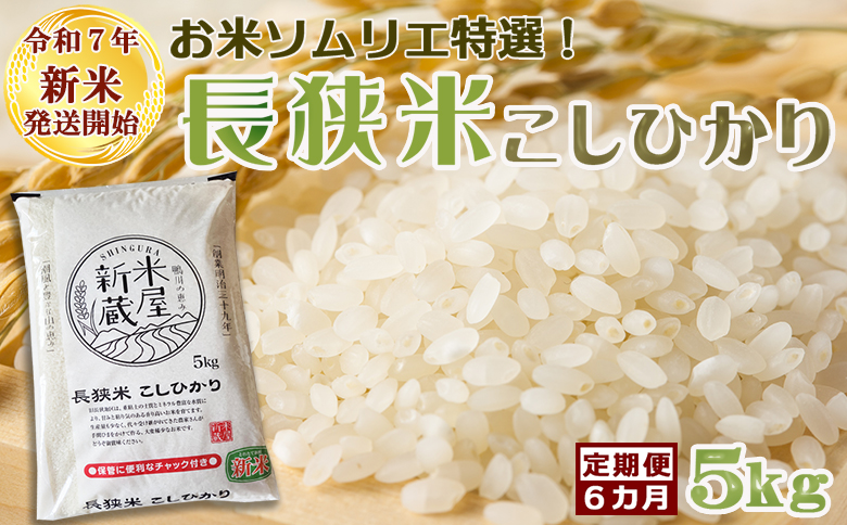 《令和７年産 新米》【米屋新蔵の定期便】お米ソムリエ特選『長狭米コシヒカリ』５kg×６回　[0100-0078] ５kg×６回
