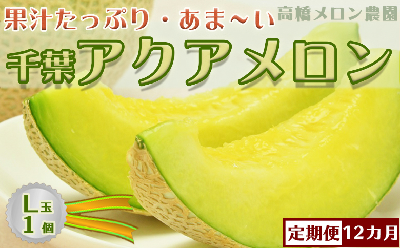 【定期便】高橋メロン農園『千葉アクアメロン』L玉以上 1個 × 12回発送 [0120-0008] Ｌ玉１個×12回