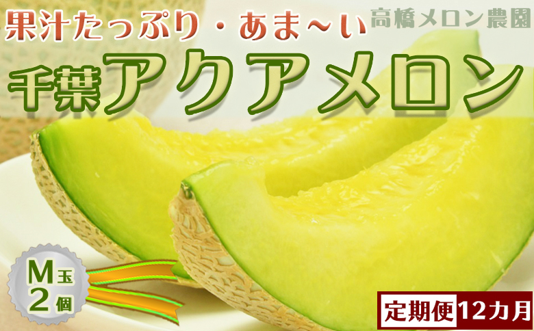 【定期便】高橋メロン農園『千葉アクアメロン』M玉以上 2個 × 12回発送 [0200-0024] Ｍ玉２個×12回