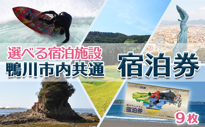 千葉県鴨川市】市内宿泊施設『共通宿泊券』１.５枚（１万５千円相当） [0050-0034](宿泊券1.5枚): 鴨川市ANAのふるさと納税