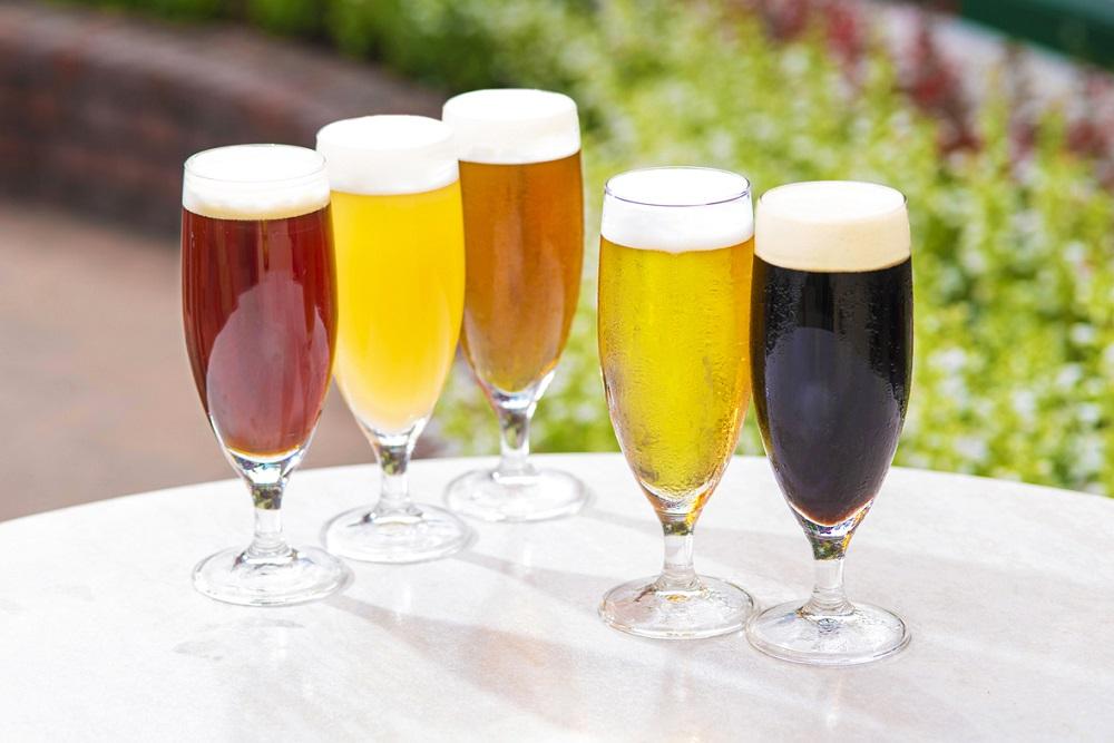 ハーヴェスト・ムーン　１２本セット