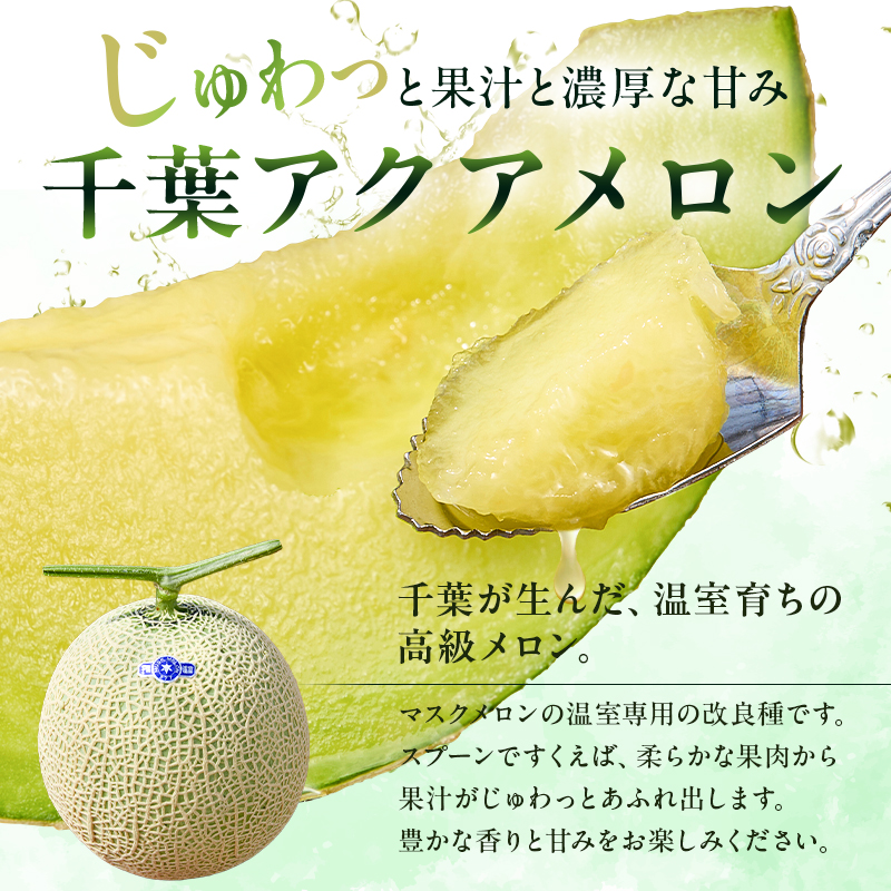 【定期便】【TVで紹介！】千葉アクアメロン1玉（1.2Kg）【3か月連続お届け】 mi0018-0004
