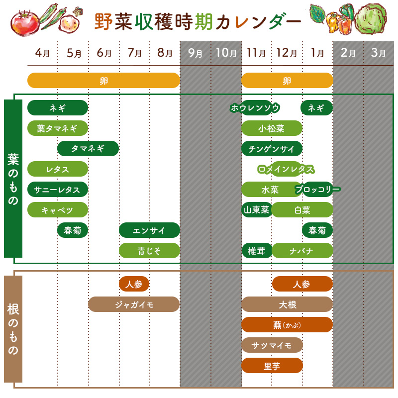 4月発送　農薬・化学肥料を持たない農家の野菜（7～10種類）と 平飼有精卵のセット mi0036-0017-04