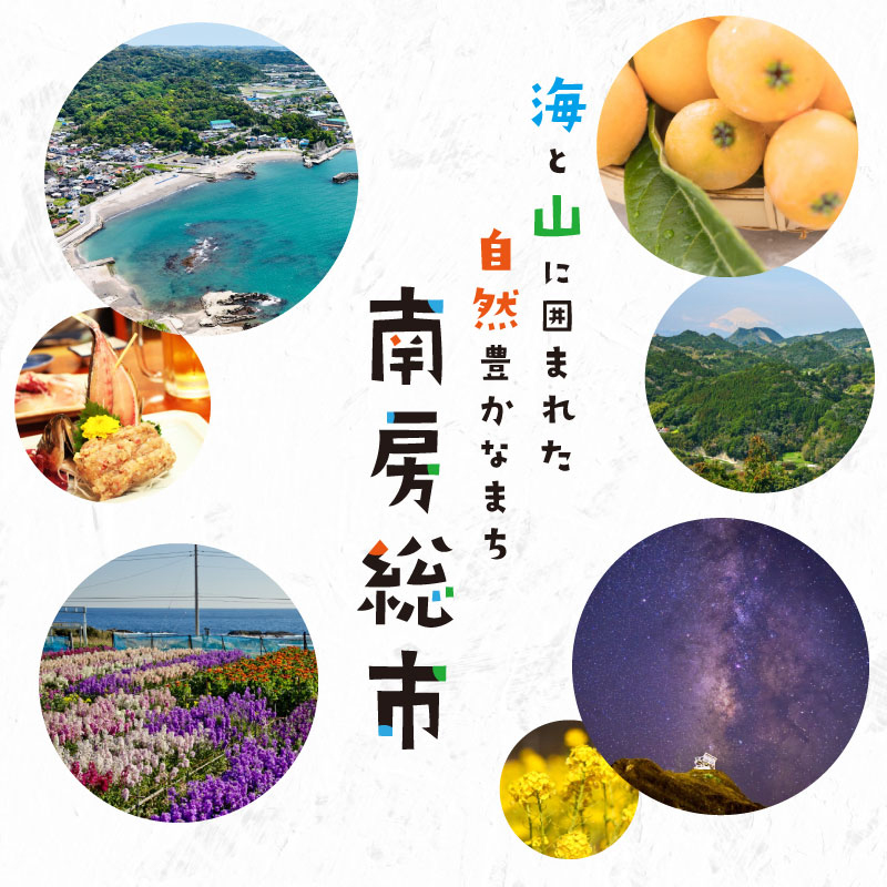 【2025年度産】千葉県産粒すけ 白米 10kg mi0068-0007